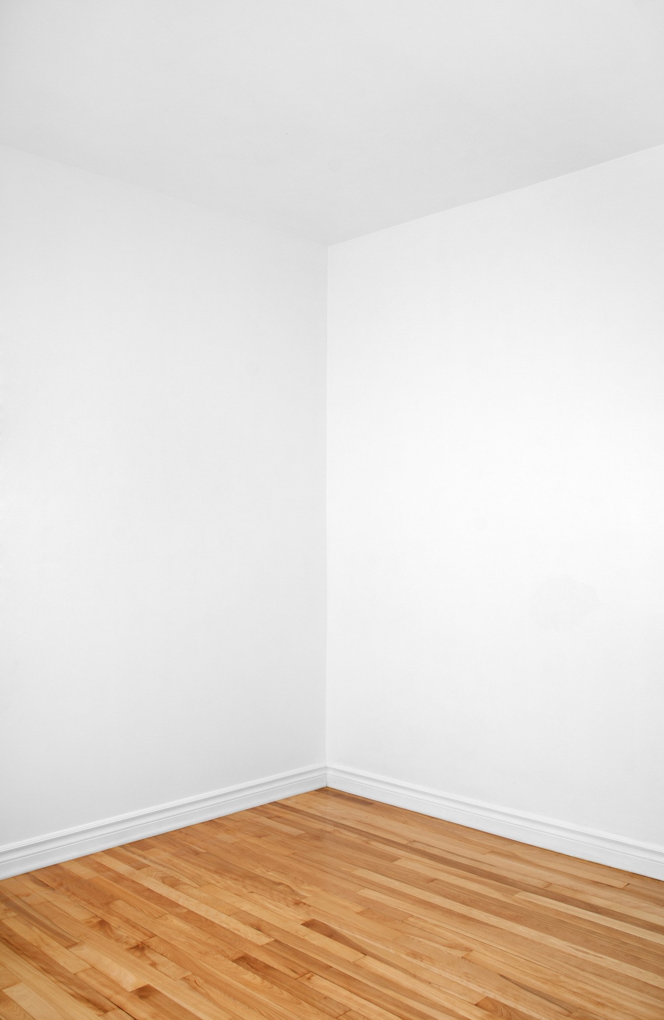 Freshly finished white walls, skirting and wooden flooring